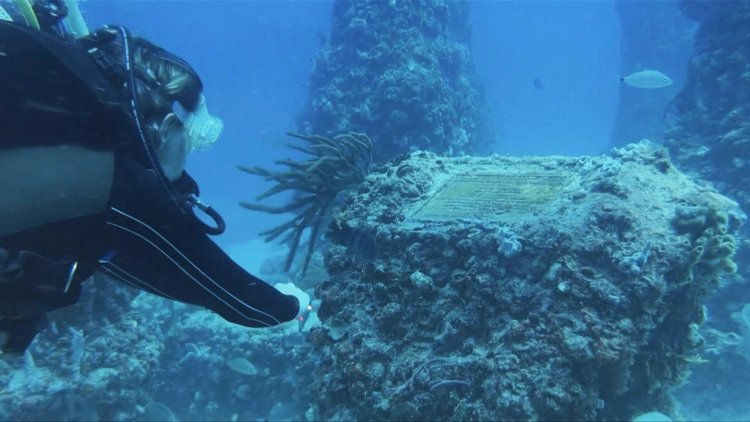 Off Florida, underwater burial ground offers aquatic lifeline