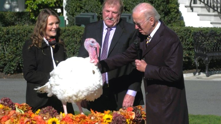 President Biden pardons Thanksgiving turkeys at White House