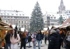Tourists delighted with Christmas market in Strasbourg