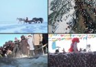 Ice fishing tradition remains alive for centuries in Northeast China