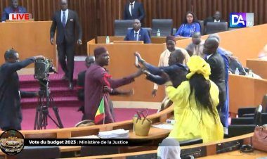 Fight in Senegal parliament over 'insult' to religious leader