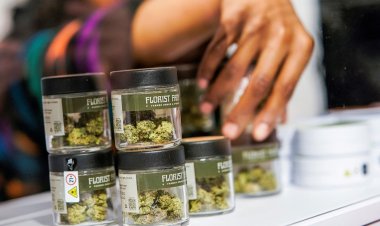 First legal cannabis dispensary opens in Manhattan
