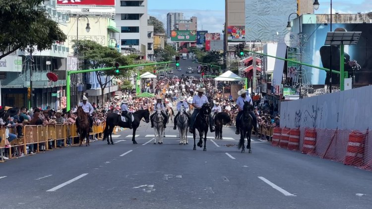 Costa Rica proudly displays its horses in massive parade
