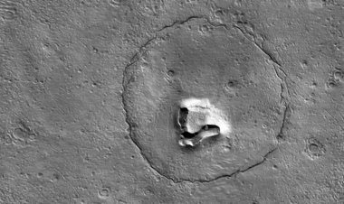 Scientists publish images of 'teddy bear' markings on Mars