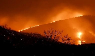 Deadly forest fires devastate Chile