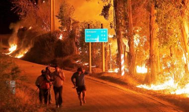 Battle rages against Chile forest fires