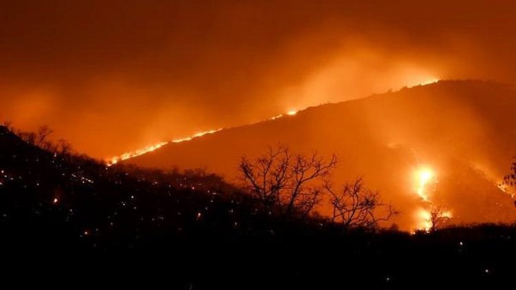 Deadly forest fires devastate Chile