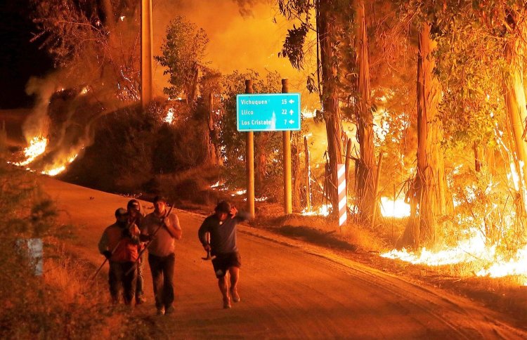 Battle rages against Chile forest fires