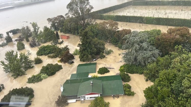 Survivors plucked from rooftops as New Zealand cyclone kills three