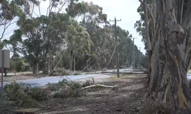 Deadly Storms Ravage Eastern Australia