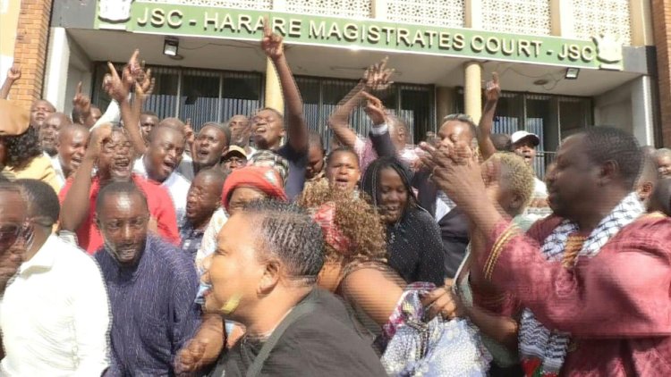 Zimbabwe Opposition Leader Freed