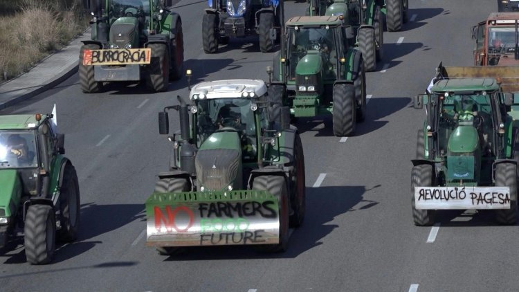 Spanish Farmers Protest Imports