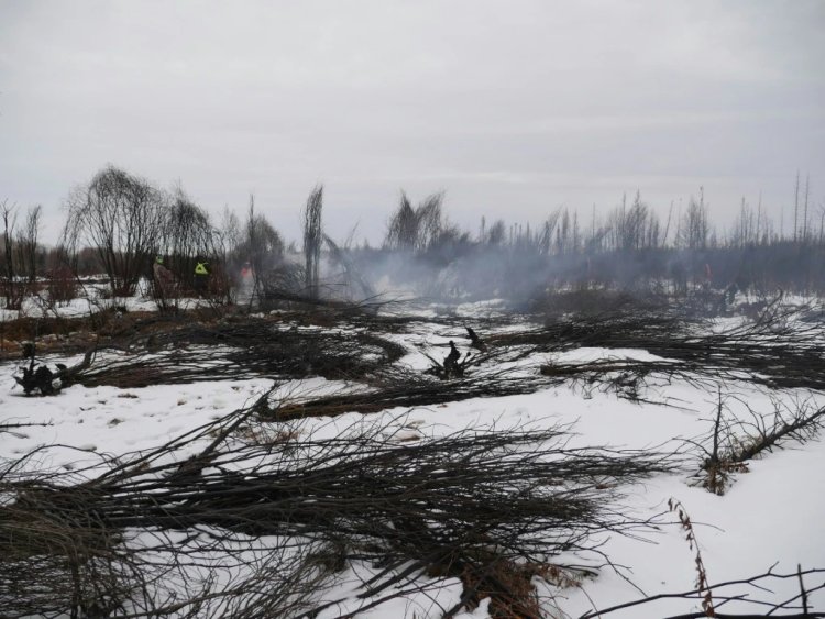 Western Canada's Lingering 'Zombie Fires'