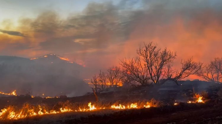 Texas Nuclear Plant Open Despite Wildfires