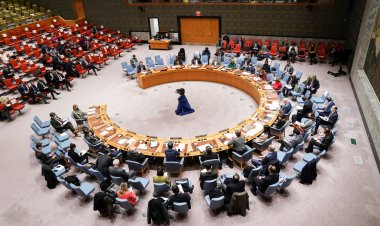 Urgent Call for Sudan Ceasefire