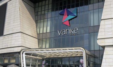 China's Housing Developer Woes