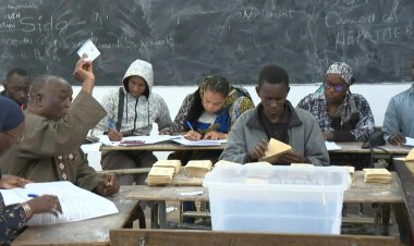 Senegal Election: Bassirou Diomaye Faye Leads