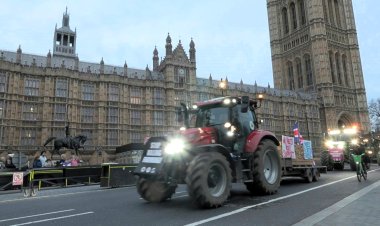 UK Farmers Protest Post-Brexit Trade
