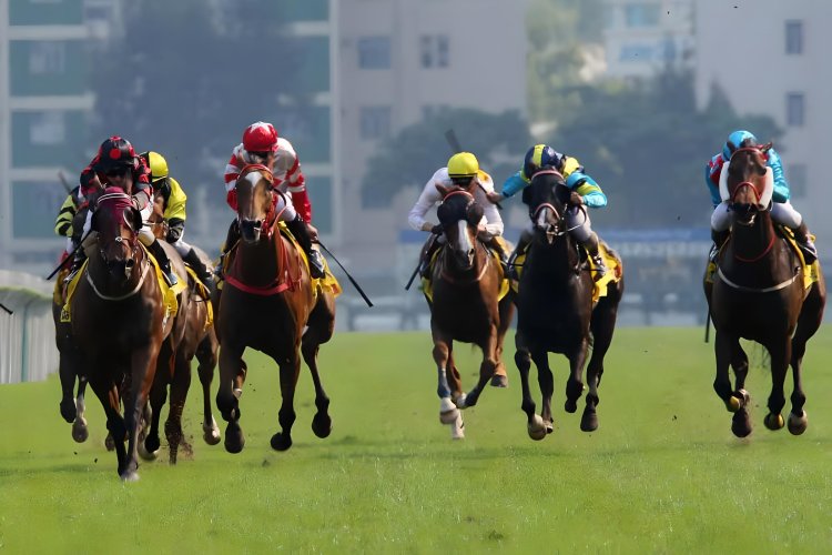 End of an Era: Macau Horse Racing Concession Terminated