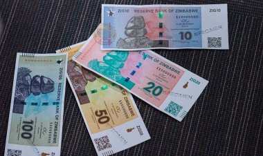 Zimbabwe Launches Gold-backed Currency