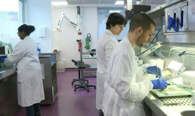 AI Revolutionizes Cancer Diagnosis