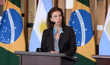 Argentina's Stance on Brazil's Affairs