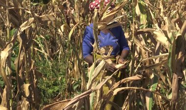 El Nino Drives Southern Africa Drought