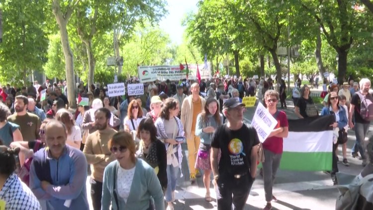 Thousands attend pro-Palestinian protest in Madrid