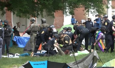 Pro-Palestinian Campus Protests Subside