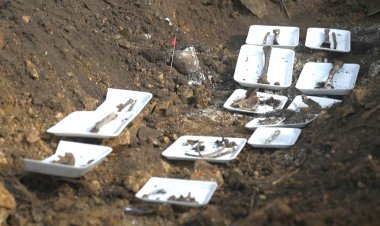 Remains of Disappeared Communist Found in Uruguay