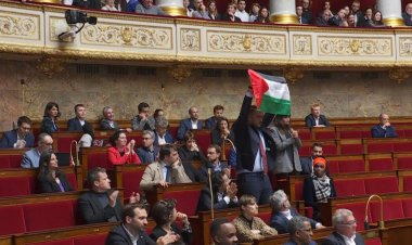 French MP Suspended for Raising Palestinian Flag