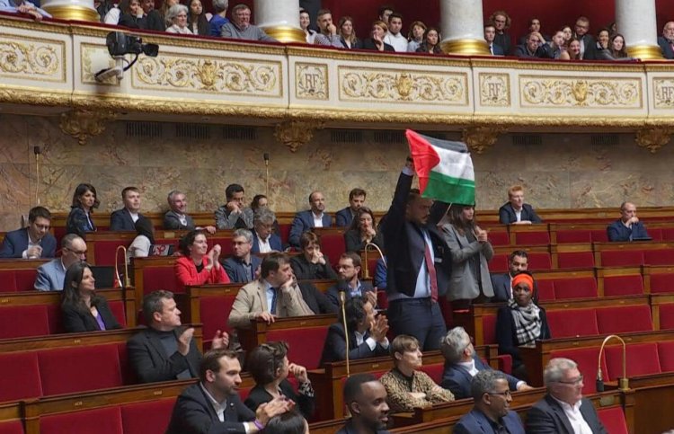 French MP Suspended for Raising Palestinian Flag