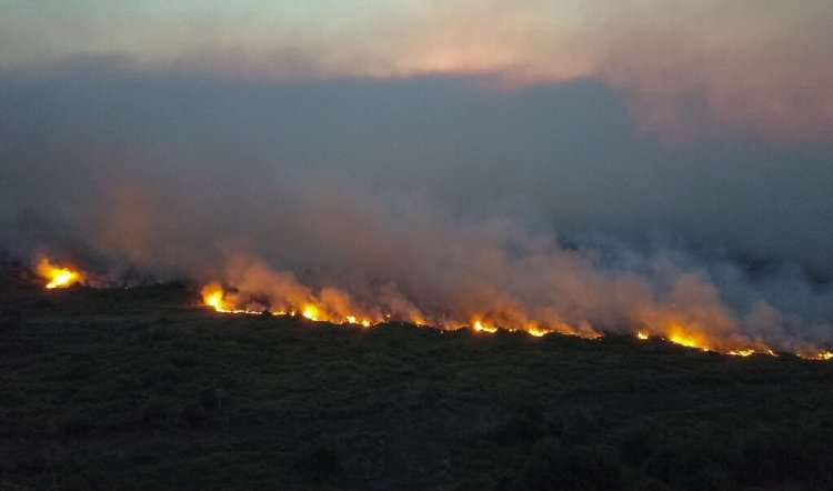 ntanal Fires Surge Amid Drought, Threaten Wildlife