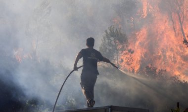 Greek Firefighters Battle Wildfires Near Athens