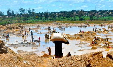 Congo Farmers Struggle Amid Mining Pollution