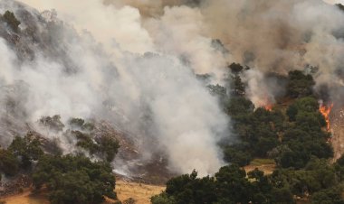 Santa Barbara Wildfire Threatens Neverland Ranch