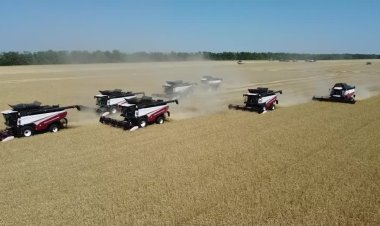 Russian Heatwave Threatens Grain Harvest