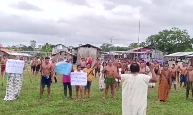 Indigenous Leader Killed Amid Cocaine Surge