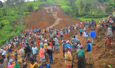 Ethiopia Landslides Death Toll Hits 229