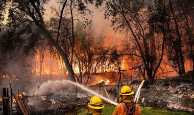 Oregon Battles Over 30 Large Wildfires