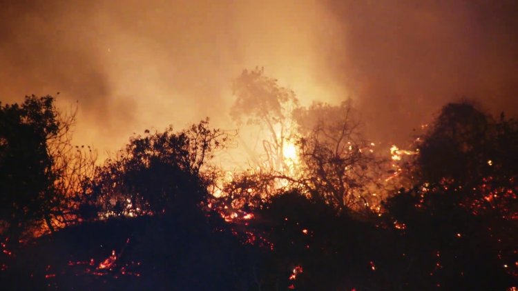 Griffith Park Fire Contained by LAFD