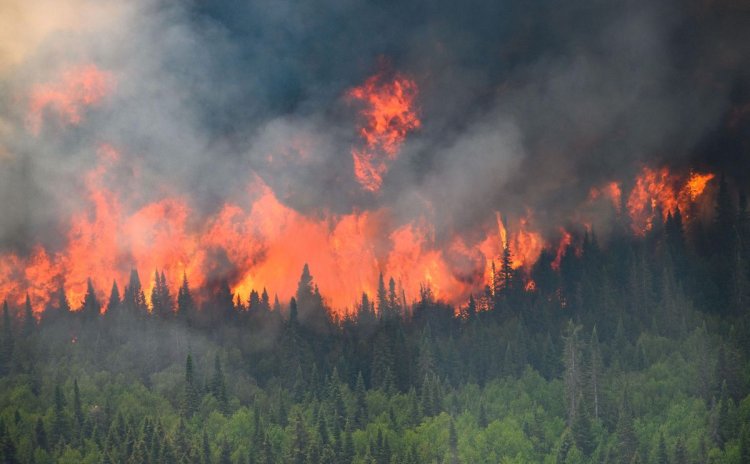 Evacuated Canadians Return Home Post-Wildfire