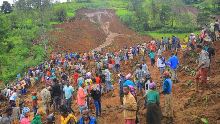 Ethiopia Landslides Death Toll Hits 229