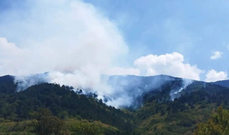 Wildfire Situation in SW Bulgaria Calms Down