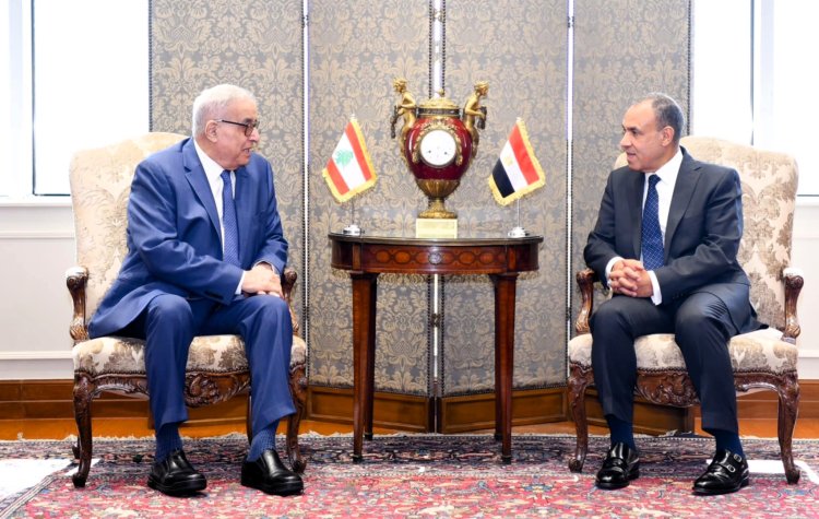 Egyptian Foreign Minister receives his Lebanese counterpart