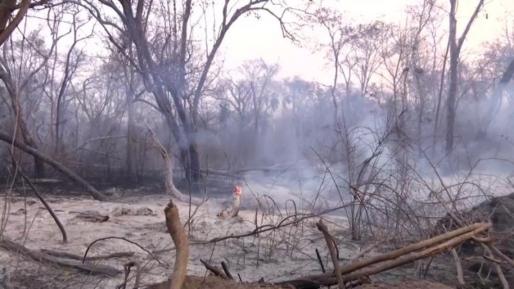 Bolivia Faces Devastating Fires in Santa Cruz Region