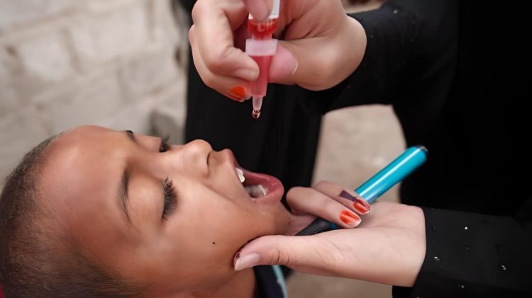 WHO Secures Cease-Fires for Gaza Polio Vaccination