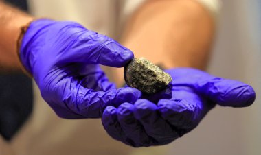Scientists Unveil Meteorite in South Africa