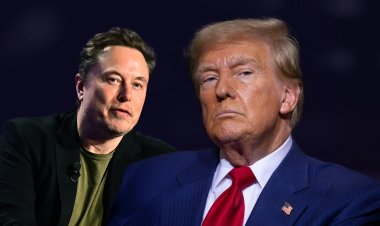 Trump Plans to Tap Elon Musk for Efficiency Task