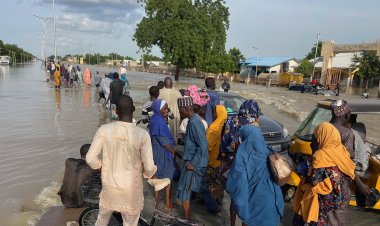 Nigeria Faces Crisis as Borno State Floods Hit Hard